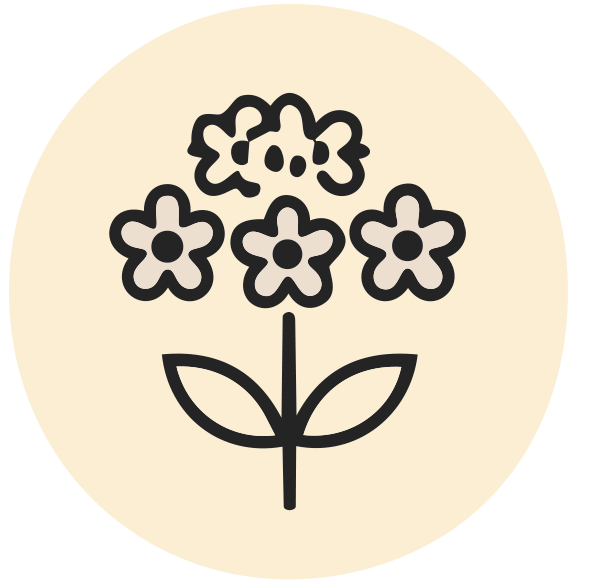 Baza Čierna